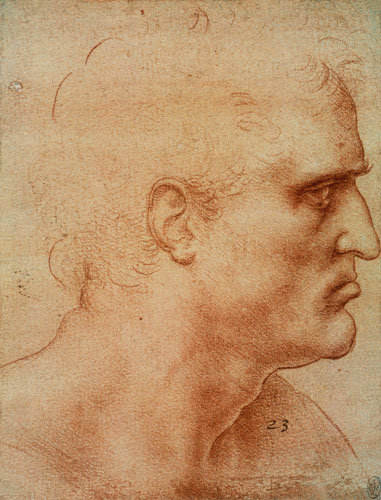 Study for the Holy Communion (Bartholomäus) de Leonardo da Vinci